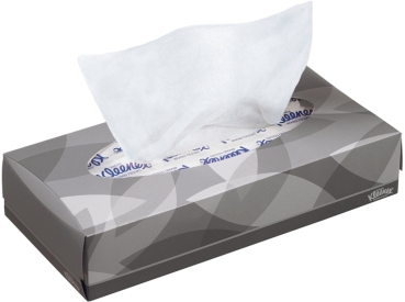 Kleenex Kosmetiktü. weiß 22x19cm 2100St